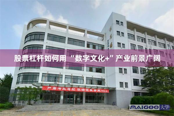 股票杠杆如何用 “数字文化+”产业前景广阔