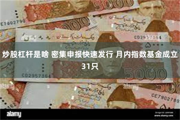 炒股杠杆是啥 密集申报快速发行 月内指数基金成立31只
