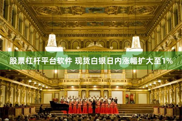 股票杠杆平台软件 现货白银日内涨幅扩大至1%