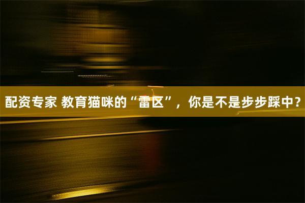 配资专家 教育猫咪的“雷区”，你是不是步步踩中？