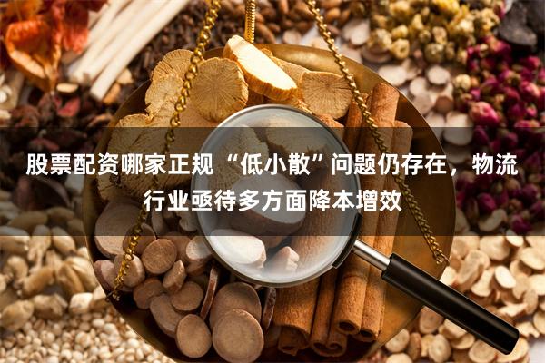 股票配资哪家正规 “低小散”问题仍存在，物流行业亟待多方面降本增效