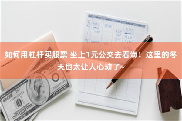 如何用杠杆买股票 坐上1元公交去看海！这里的冬天也太让人心动了~
