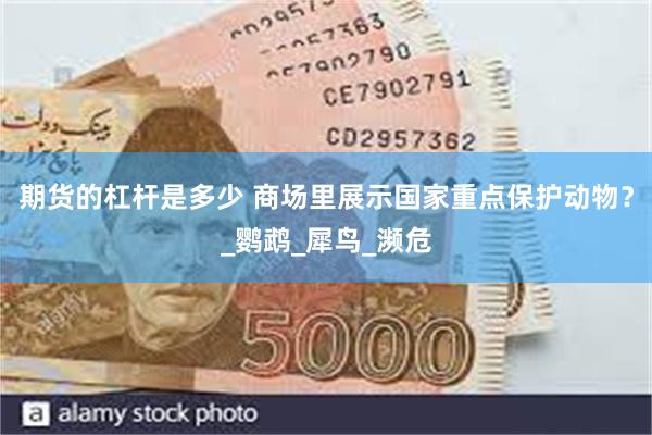 期货的杠杆是多少 商场里展示国家重点保护动物？_鹦鹉_犀鸟_濒危