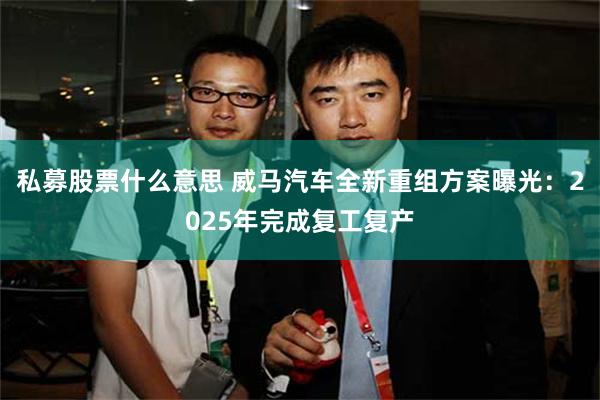 私募股票什么意思 威马汽车全新重组方案曝光：2025年完成复工复产