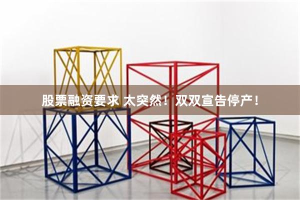 股票融资要求 太突然！双双宣告停产！