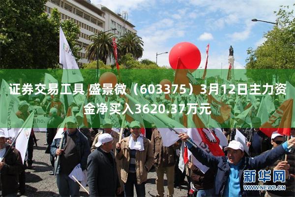 证券交易工具 盛景微（603375）3月12日主力资金净买入3620.37万元