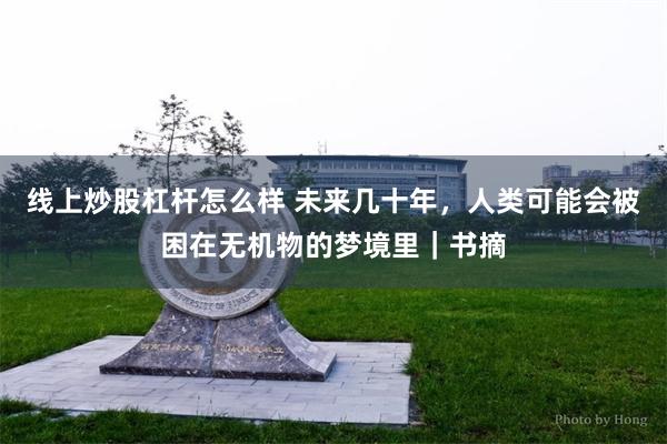 线上炒股杠杆怎么样 未来几十年，人类可能会被困在无机物的梦境里｜书摘