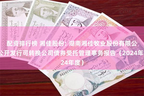 配资排行榜 湘佳股份: 湖南湘佳牧业股份有限公司公开发行可转换公司债券受托管理事务报告(2024年度)