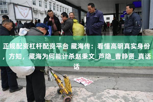 正规配资杠杆配资平台 藏海传：看懂高明真实身份，方知，藏海为何能计杀赵秉文_芦隐_曹静贤_真话