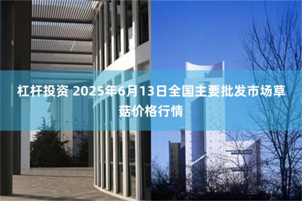杠杆投资 2025年6月13日全国主要批发市场草菇价格行情