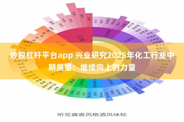 炒股杠杆平台app 兴业研究2025年化工行业中期展望：继续向上的力量