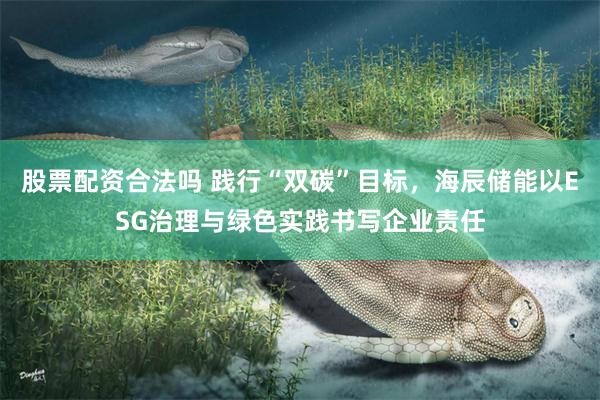 股票配资合法吗 践行“双碳”目标，海辰储能以ESG治理与绿色实践书写企业责任
