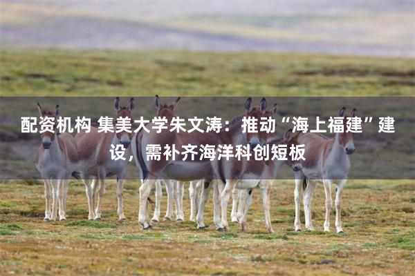 配资机构 集美大学朱文涛：推动“海上福建”建设，需补齐海洋科创短板