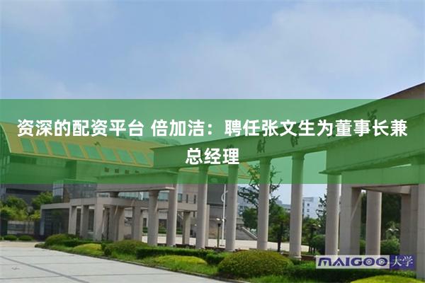 资深的配资平台 倍加洁:聘任张文生为董事长兼总经理